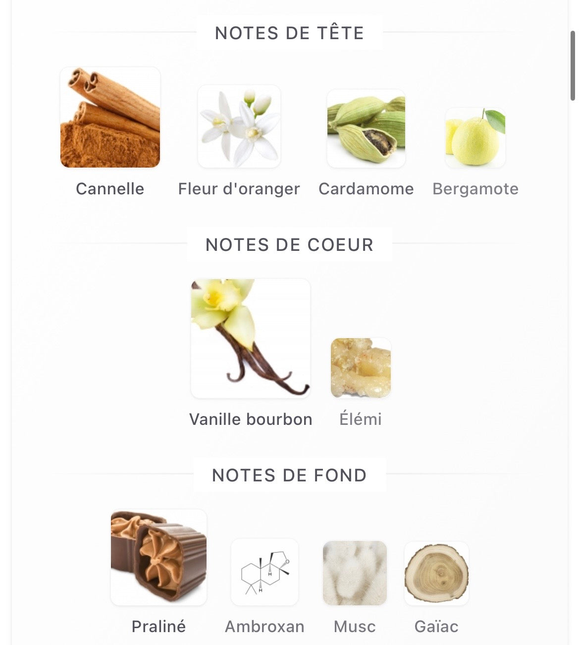 Liquide Brun (Mixte)