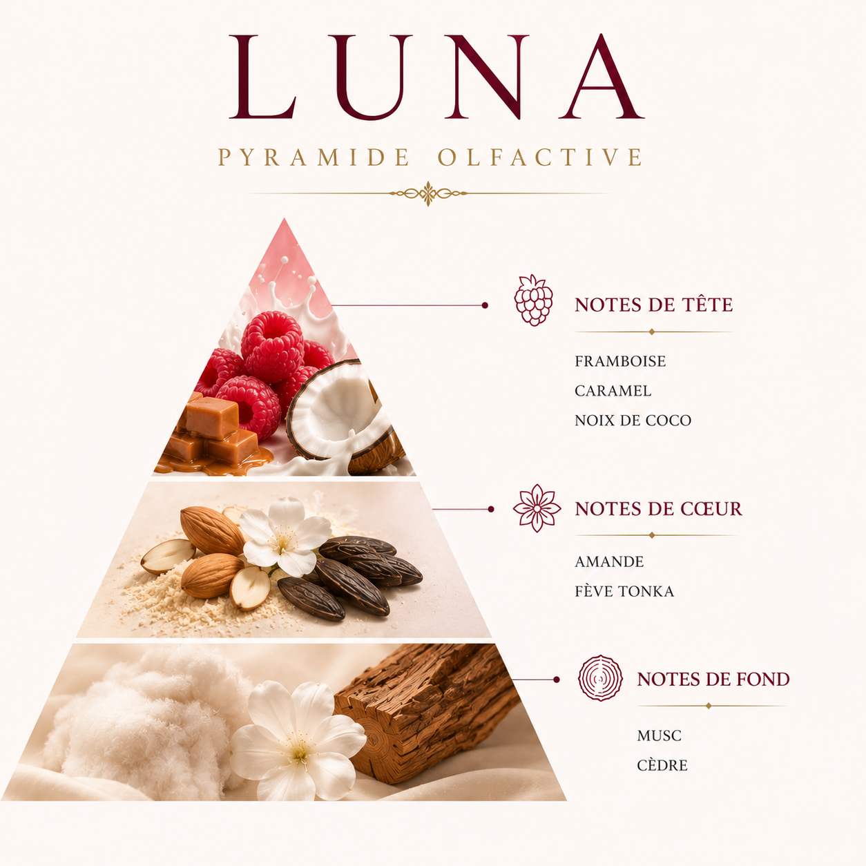 Luna- création