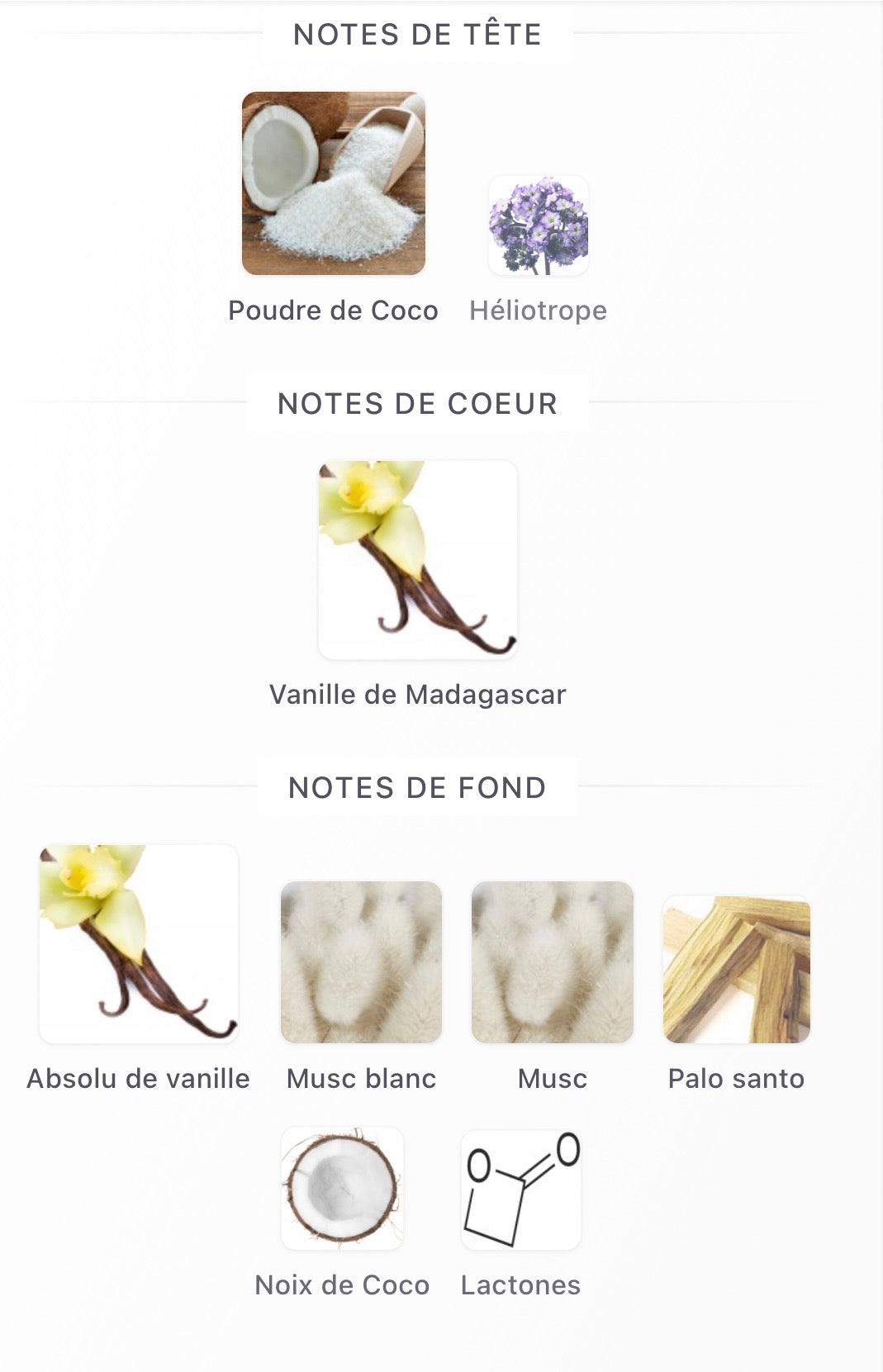 Vanilla Powdery (Mixte)